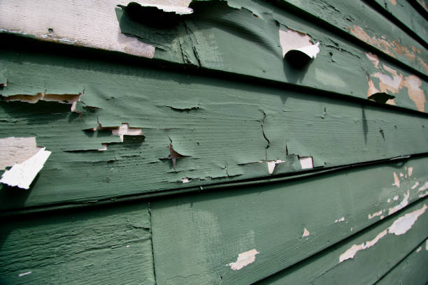 Best Historical Building Siding Restoration  in Boulevard Park, WA