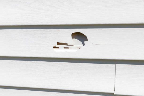 Best Storm Damage Siding Repair  in Boulevard Park, WA