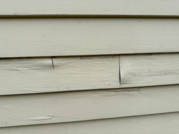 Best Storm Damage Siding Repair  in Boulevard Park, WA